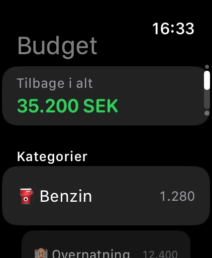 Apple Watch: resterende budget pr. kategori