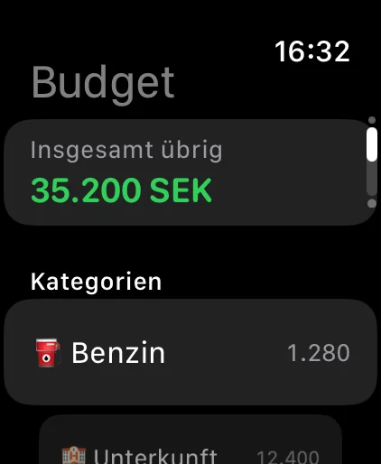Apple Watch: Restbudget pro Kategorie