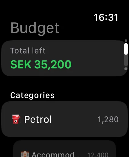 Apple Watch: what's left in the budget per category