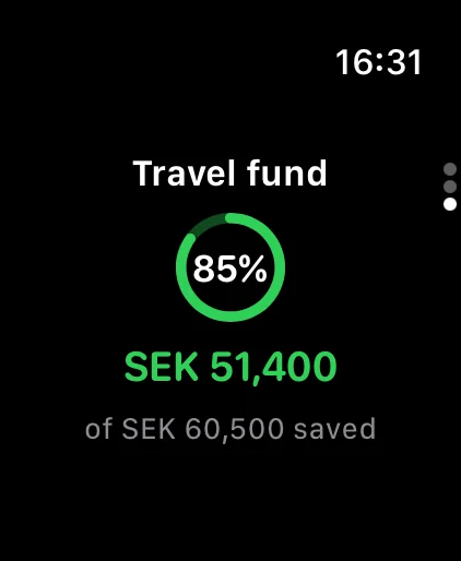 Apple Watch: the travel fund as a percentage of the goal