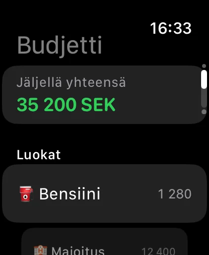 Apple Watch: budjettia jäljellä luokittain