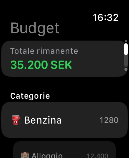 Apple Watch: budget rimanente per categoria