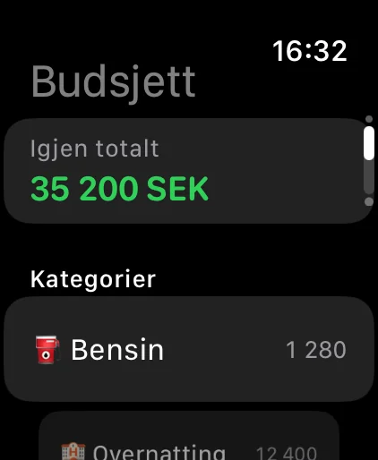 Apple Watch: gjenstående budsjett per kategori