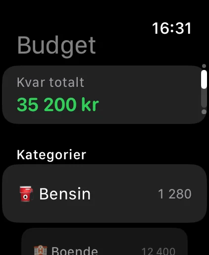 Apple Watch: kvar i budgeten per kategori