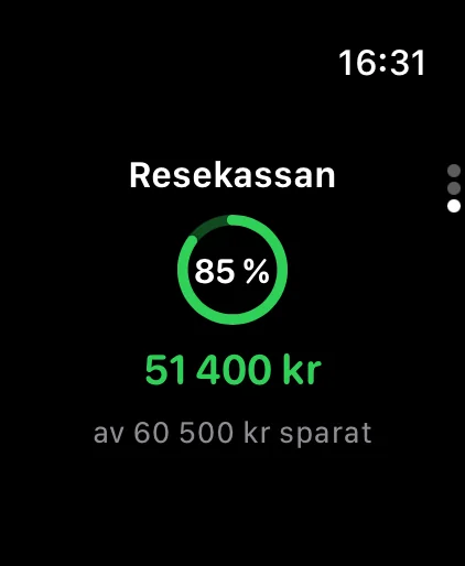 Apple Watch: resekassan i procent av målet